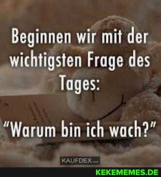 Beginnen wir mit der wichtigsten Frage des
Tages:
"Warum bin ich wach?"