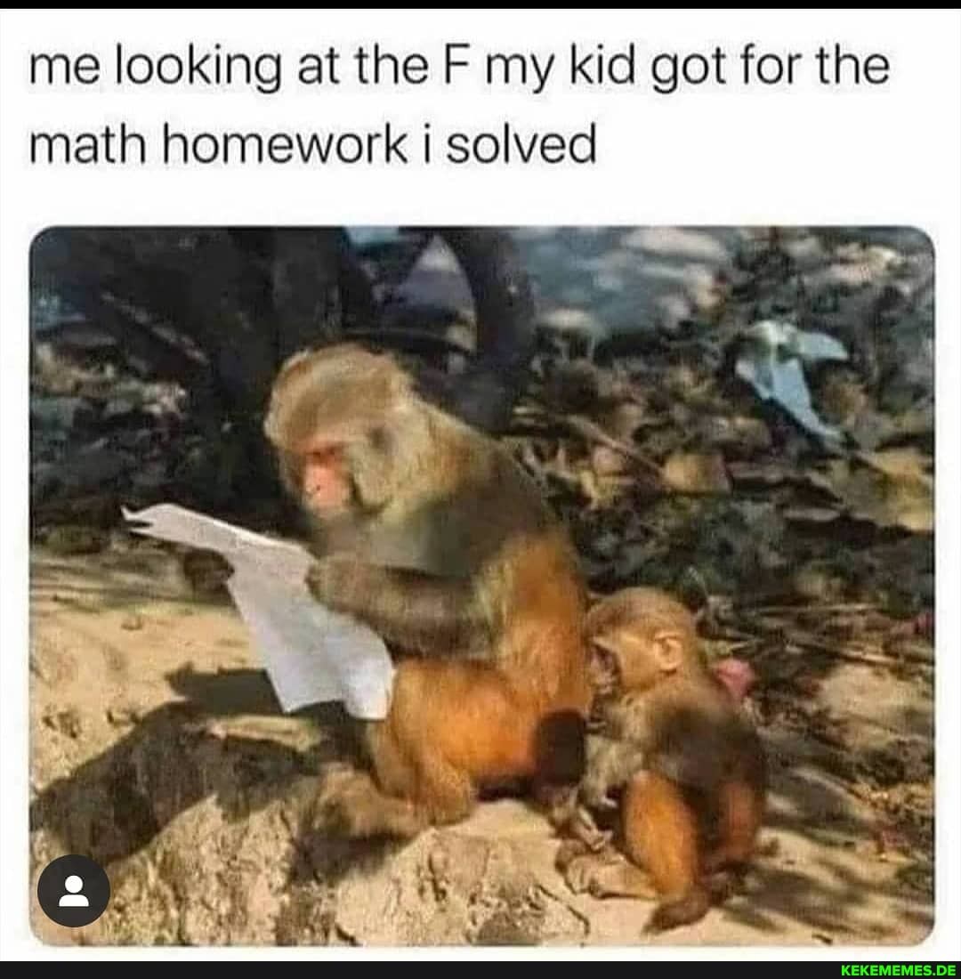 me looking at the F my kid got for the math homework solved