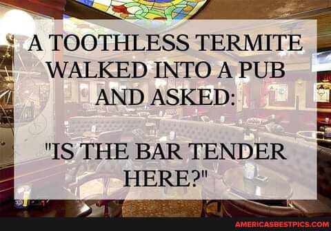 A TOOTHLESS TERMITE
WALKED INTO PUB AND ASKED:
"IS THE BAR TENDER HERE?"