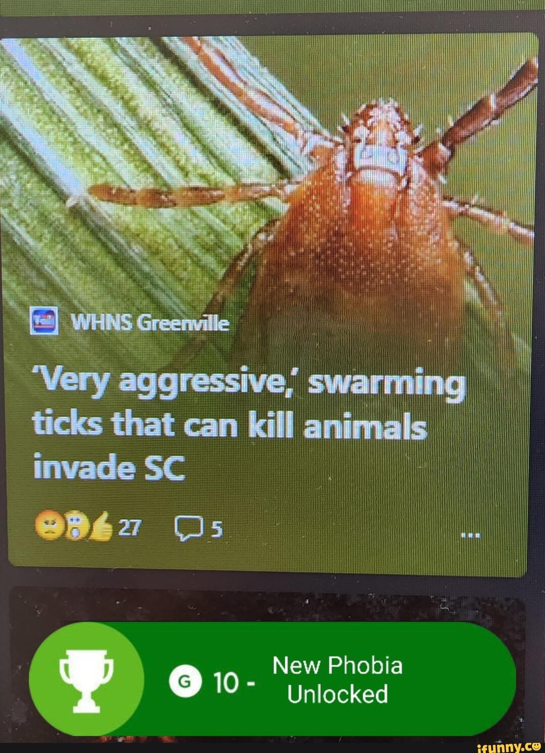 very-aggressive-swarming-ticks-that-can-kill-animals-invade-sc-new