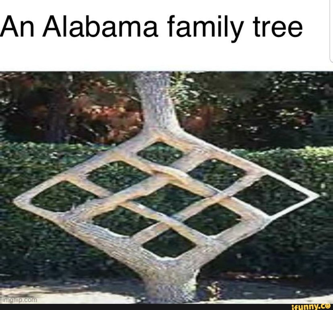 An Alabama family tree - iFunny Brazil