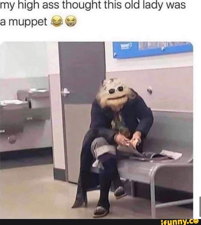 Mupet memes. Best Collection of funny Mupet pictures on iFunny