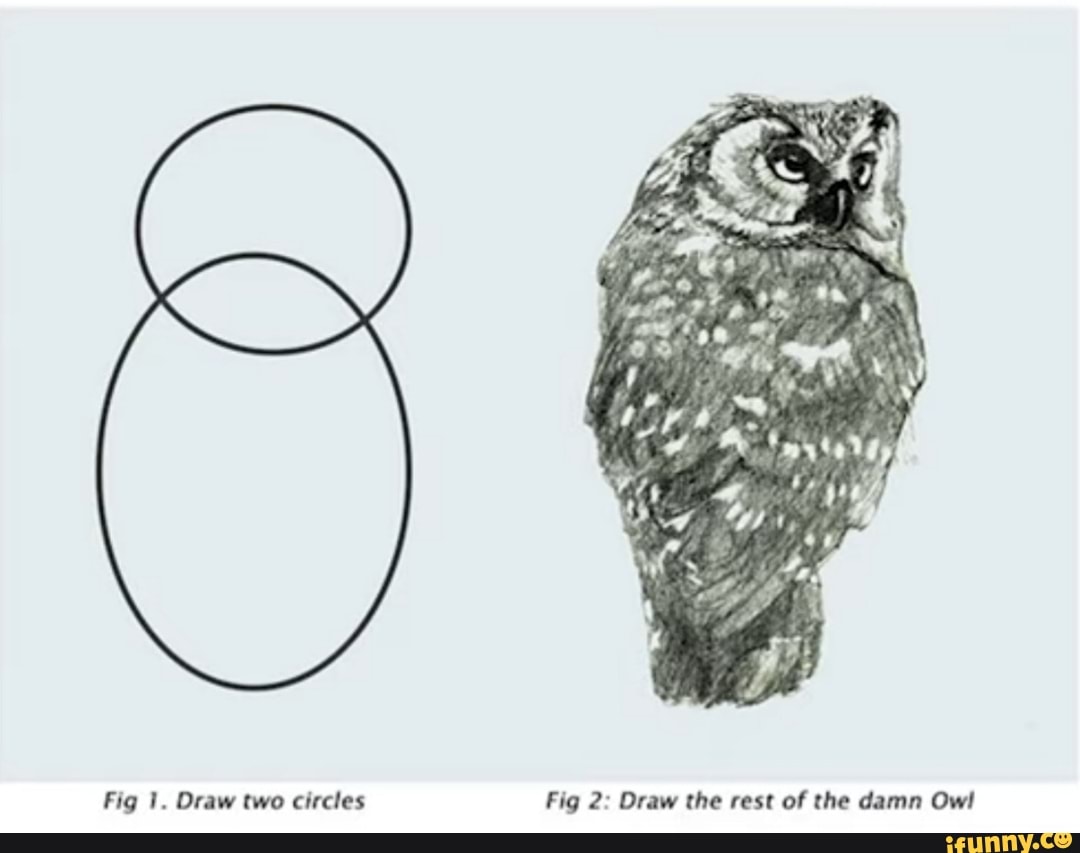 Ne Fig 1. Draw two circles Fig 2 Draw the rest of the damn Ow! iFunny