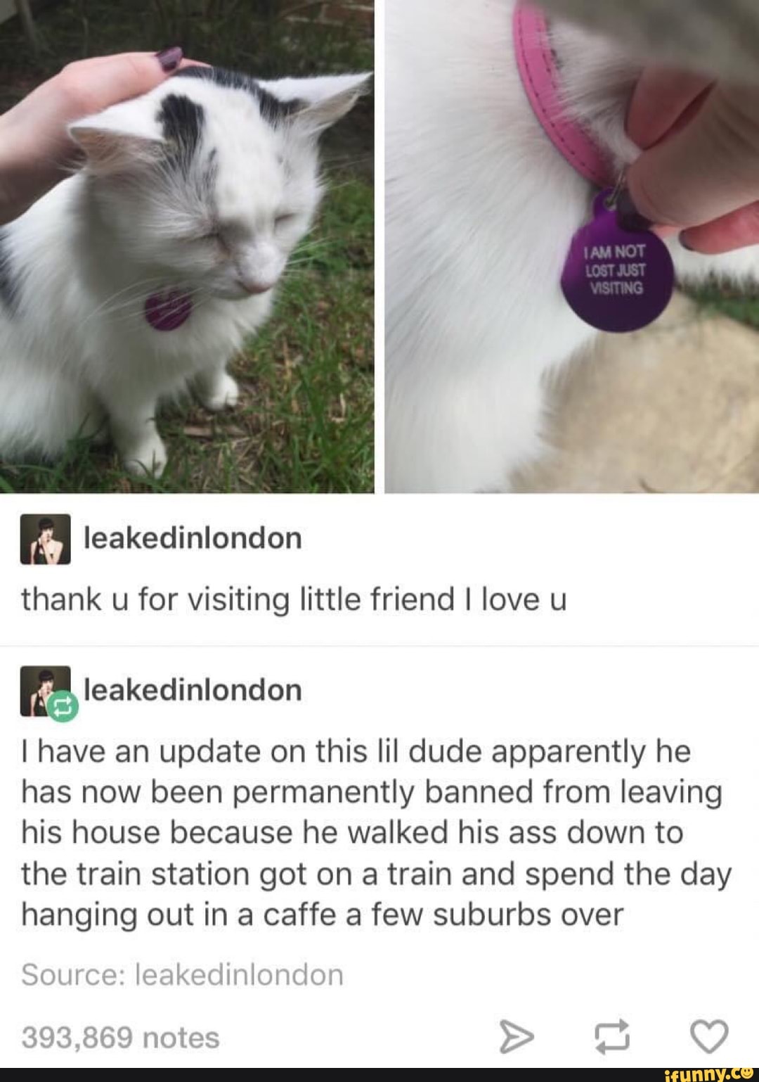 thank u for visiting little friend I love u
FER
I have an update on this lil dude apparently he
has now been permanently banned from leaving
his house because he walked his ass down to
the train station got on a train and spend the day
hanging out in a caffe a few suburbs over
oir
h
Source: leakedinlondon