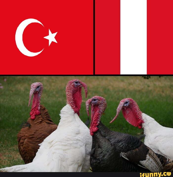 Domesticturkey Memes Best Collection Of Funny Domesticturkey