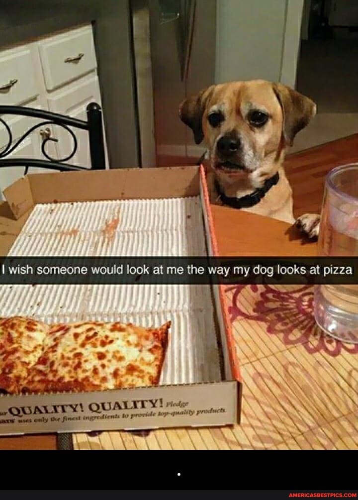 I I
wish someone would look at me the way my dog looks at pizza
QUALITY! - .