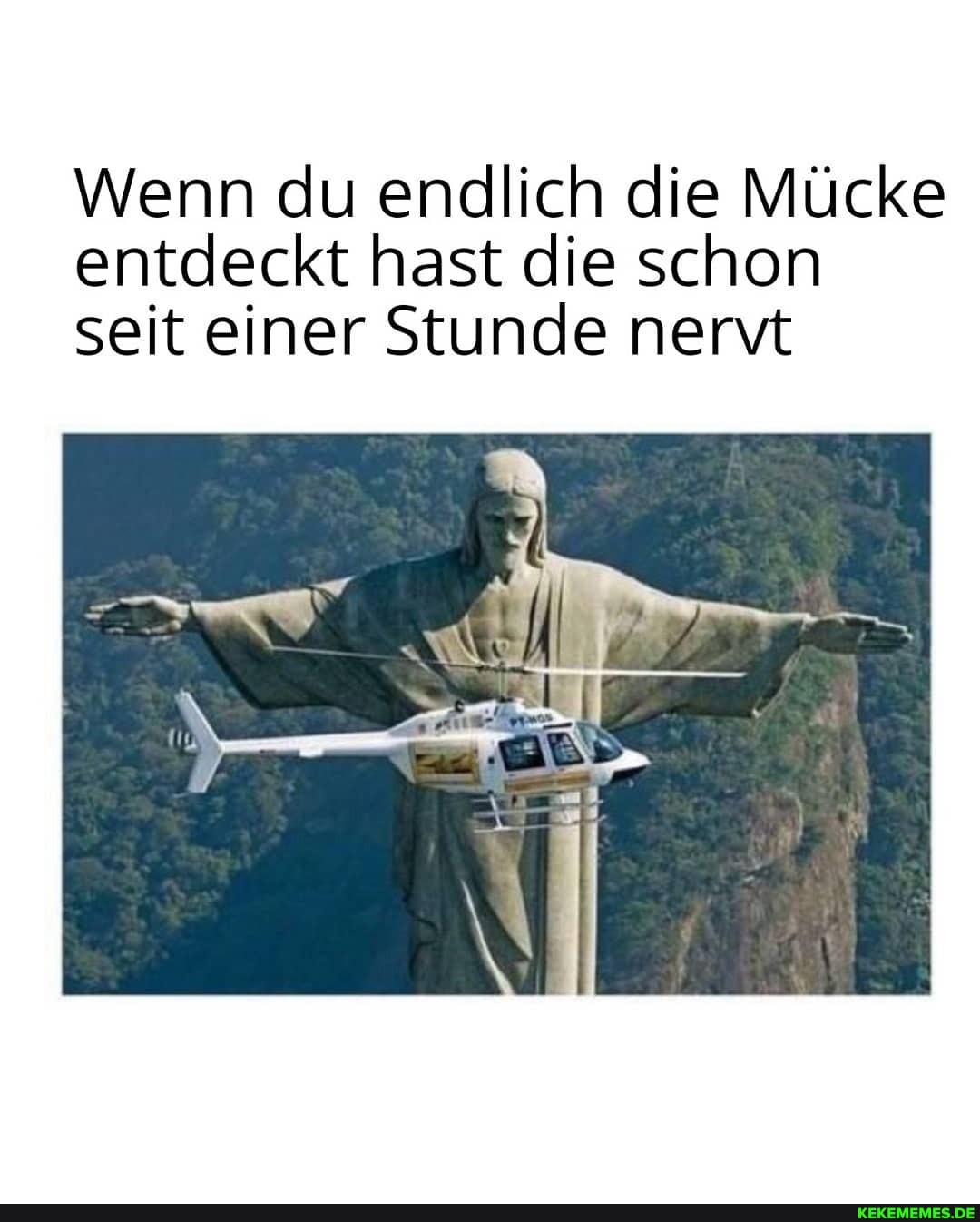 Wenn du endlich die Mücke entdeckt hast die schon seit einer Stunde nervt