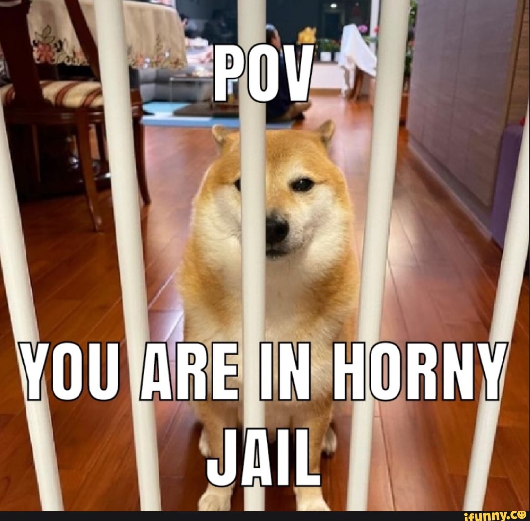 You Are In Horny Jail Ifunny 6103