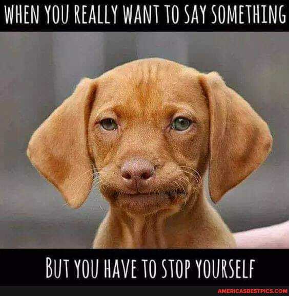 WHEN YOU REALLY WANT SAY SOMETHING
WAVE TH