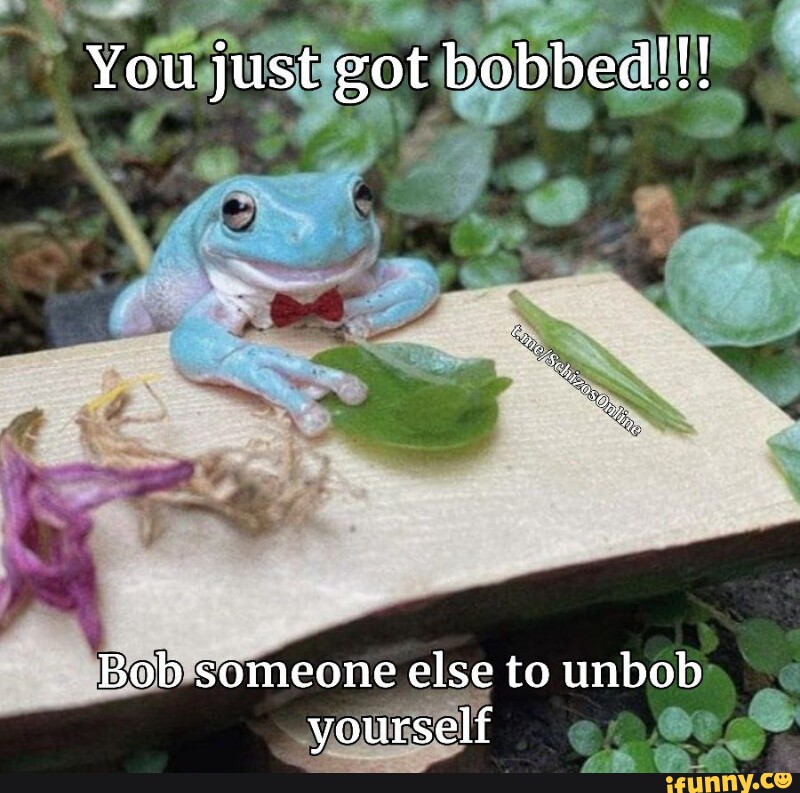 Bobbed memes. Best Collection of funny Bobbed pictures on iFunny