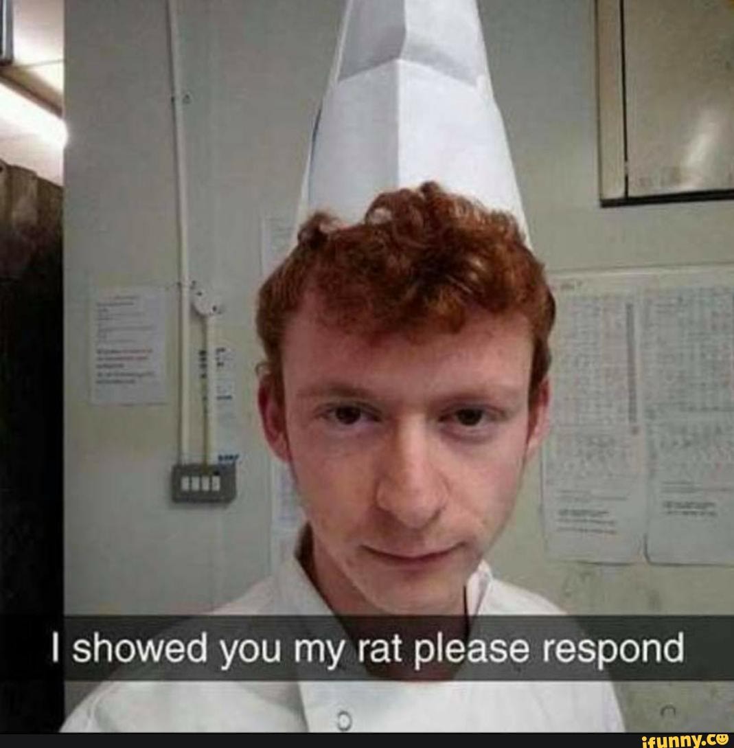 as
I showed you my rat please respond