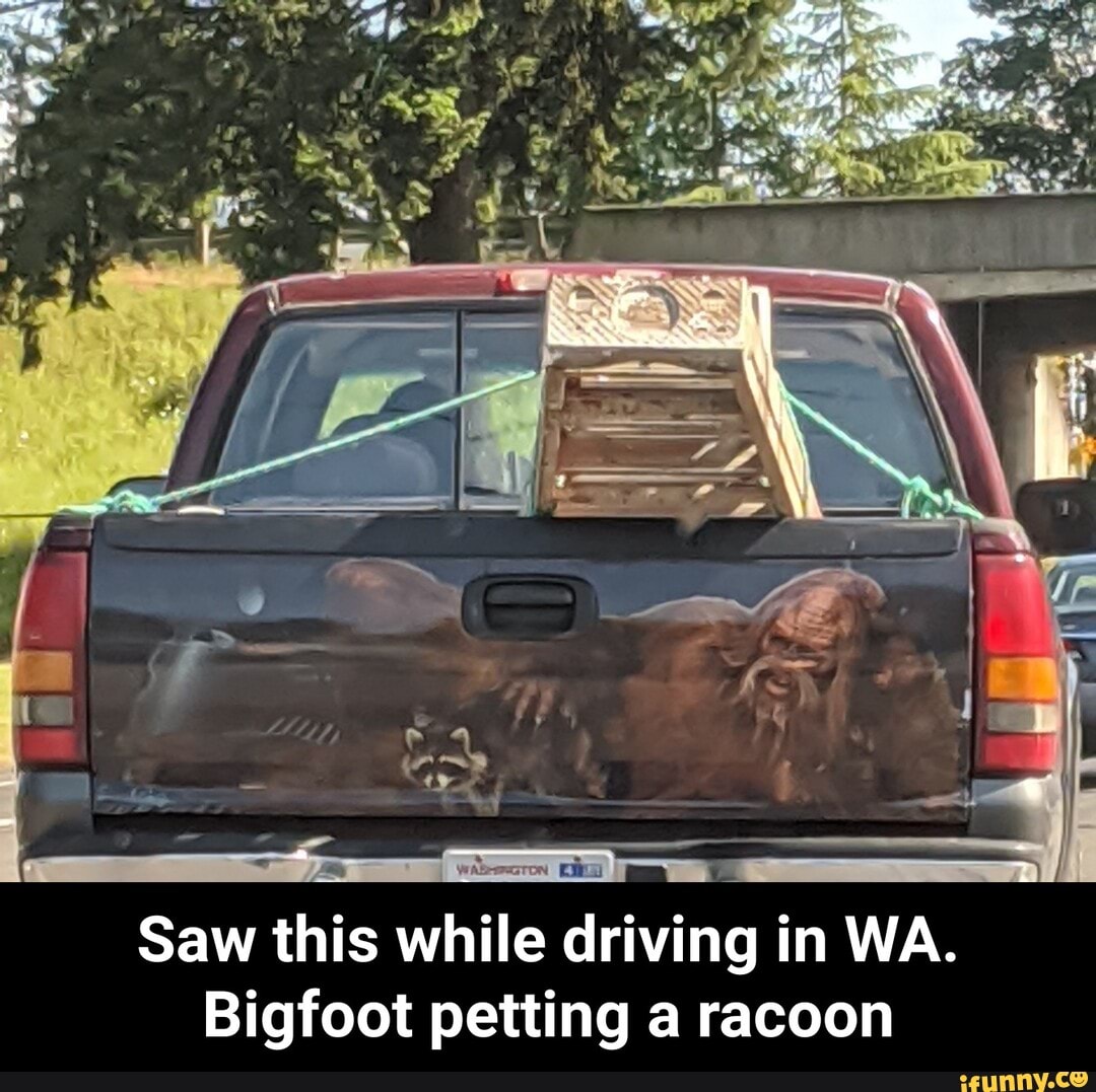 Saw this while driving in WA.
Bigfoot petting a racoon - Saw this while driving in WA. Bigfoot petting a racoon