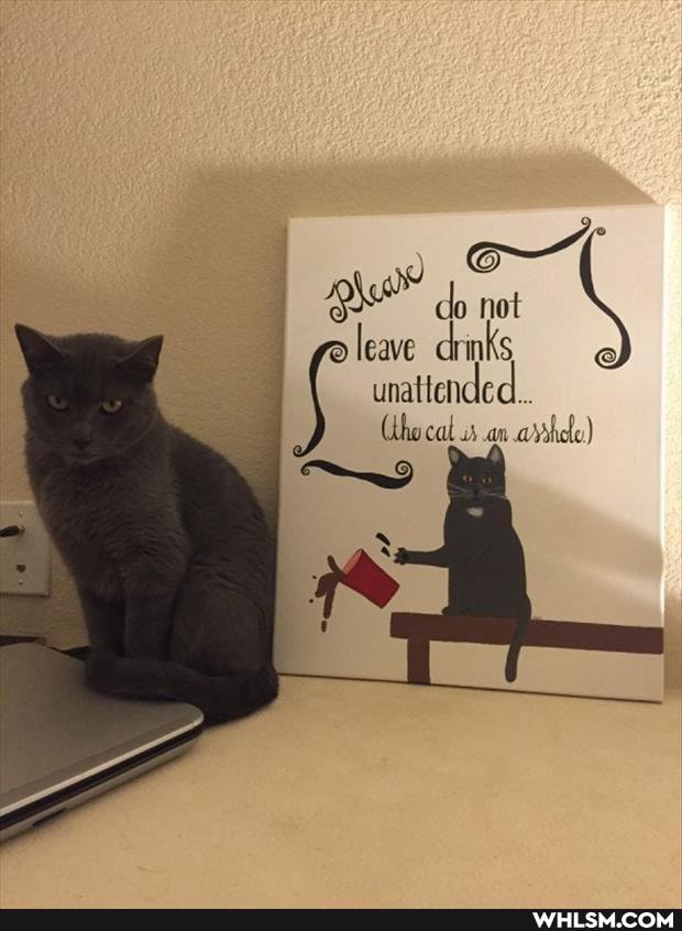 do not leave drinks
unattended...
(tho cal .an arrhdl)