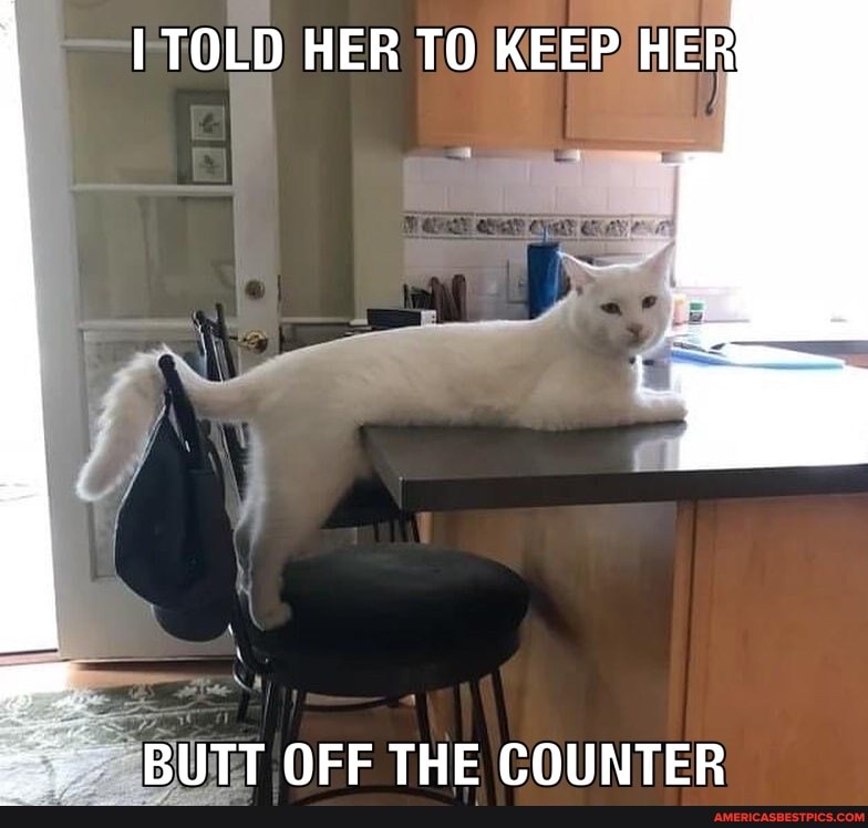 TOLD HER TO KEEP HER
BUTT OFF THE COUNTER