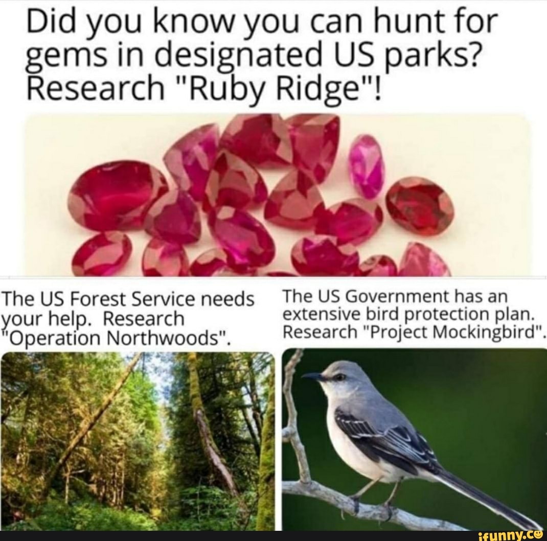 Did you know you can hunt for
gems in designated US parks?
Research "Ruby Ridge"!
Research "Project Mockingbird". 'Operation Northwoods".