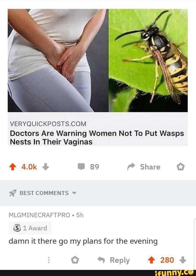 Doctors Are Warning Women Not To Put Wasps Nests In Their Vaginas 89 Share Best Comments