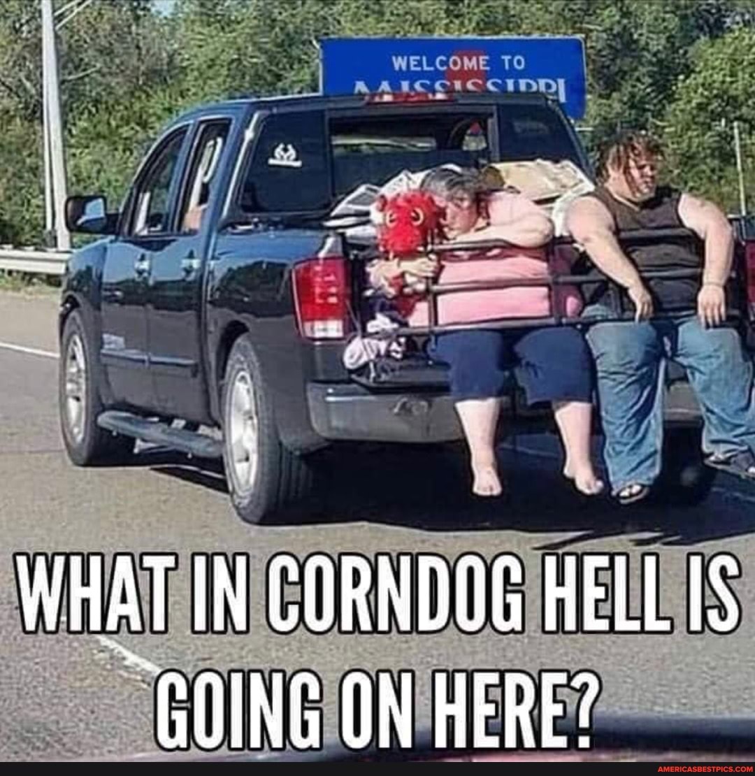 WELCOME TO
WHAT IN CORNDOG HELL GOING ON HERE?
