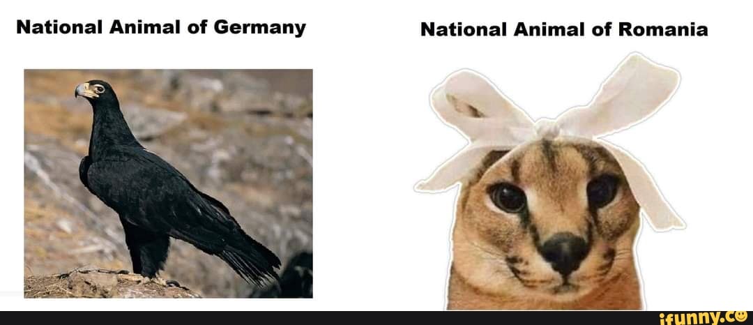 National Animal of Germany National Animal of Romania 