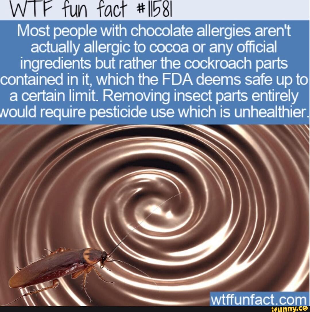 Are You Allergic To Cockroaches Tun Tact Most People With Chocolate Allergies Arent Actually 6175