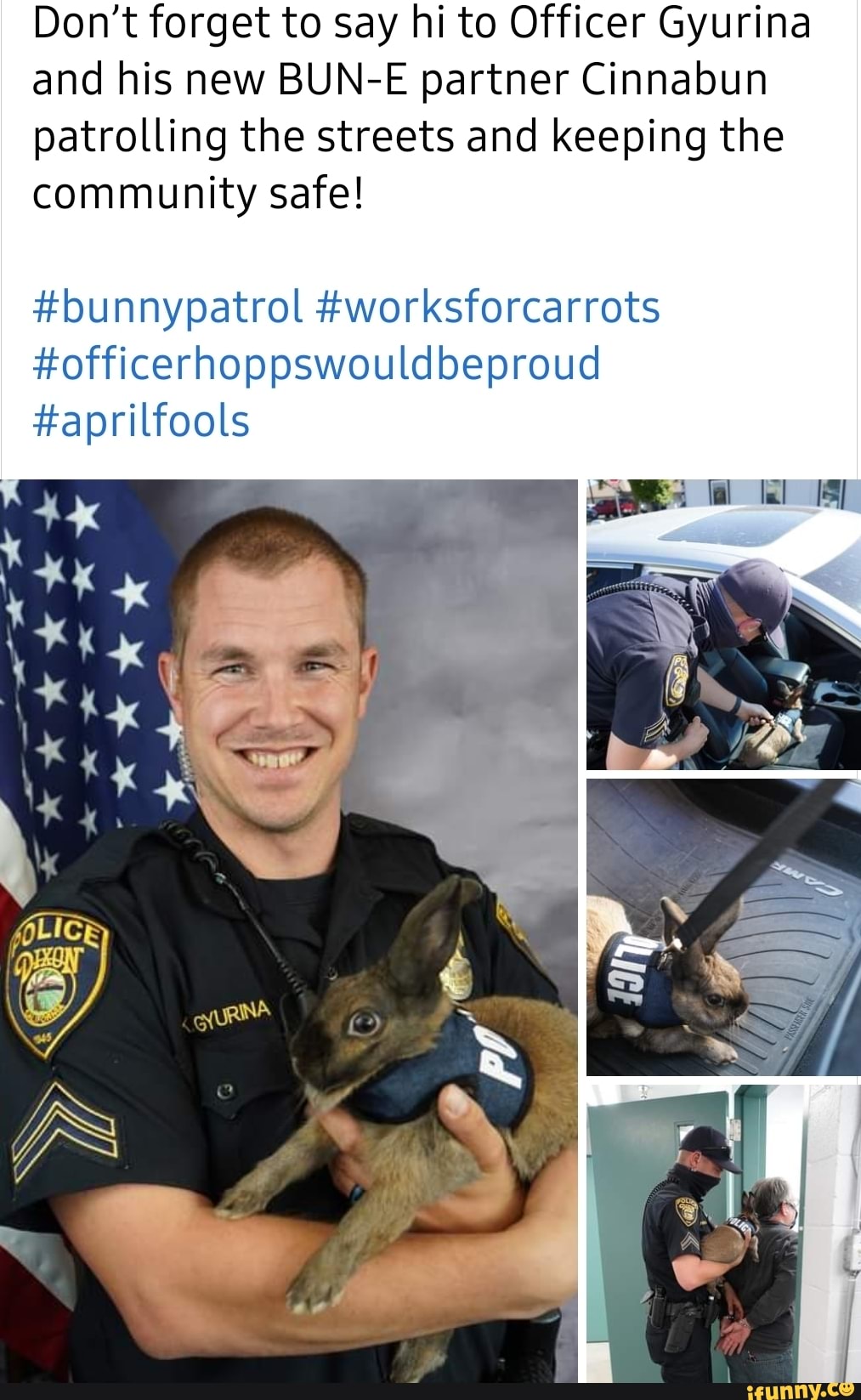 Don't forget to say hi to Officer Gyurina and his new BUN-E partner Cinnabun patrolling the streets and keeping the community safe!
#bunnypatrol #worksforcarrots
#officerhoppswouldbeproud
#aprilfools