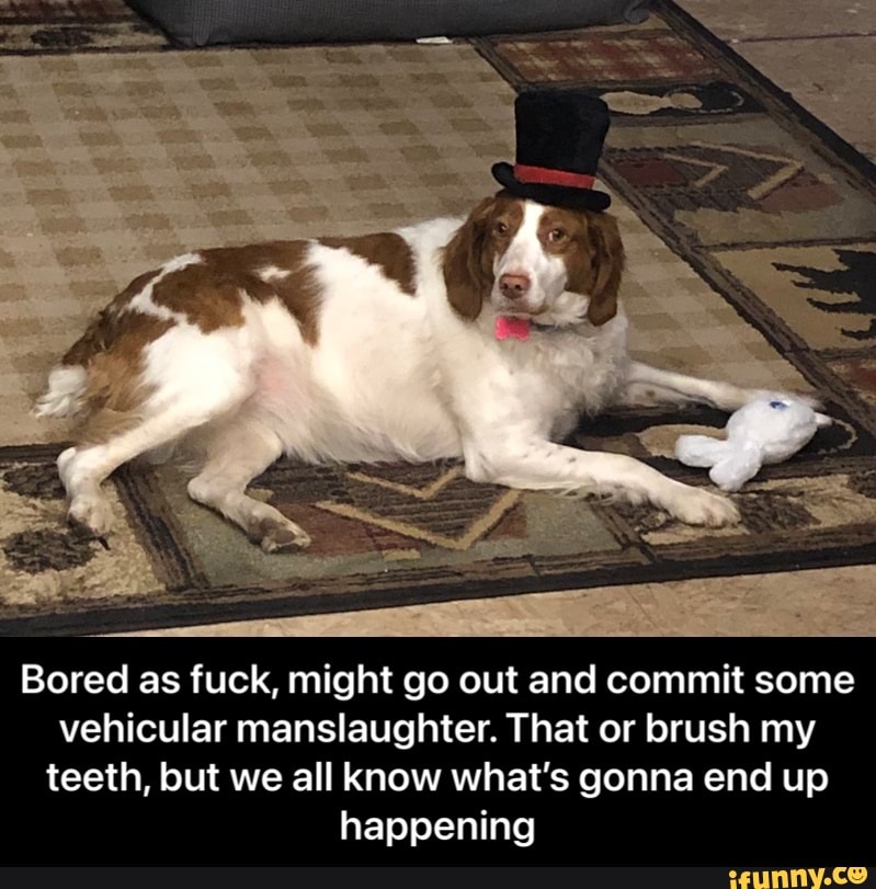 Bored as fuck, might go out and commit some vehicular manslaughter. That or brush my teeth, but we all know what's gonna end up happening - Bored as fuck, might go out and commit some vehicular manslaughter. That or brush my teeth, but we all know what’s gonna end up happening
