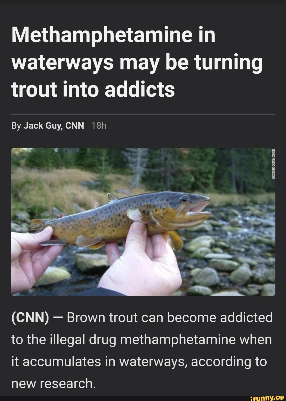 Trout memes. Best Collection of funny Trout pictures on iFunny