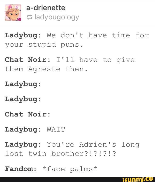 Ladybug We Dont Have Time For Your Stupid Puns Chat Noir