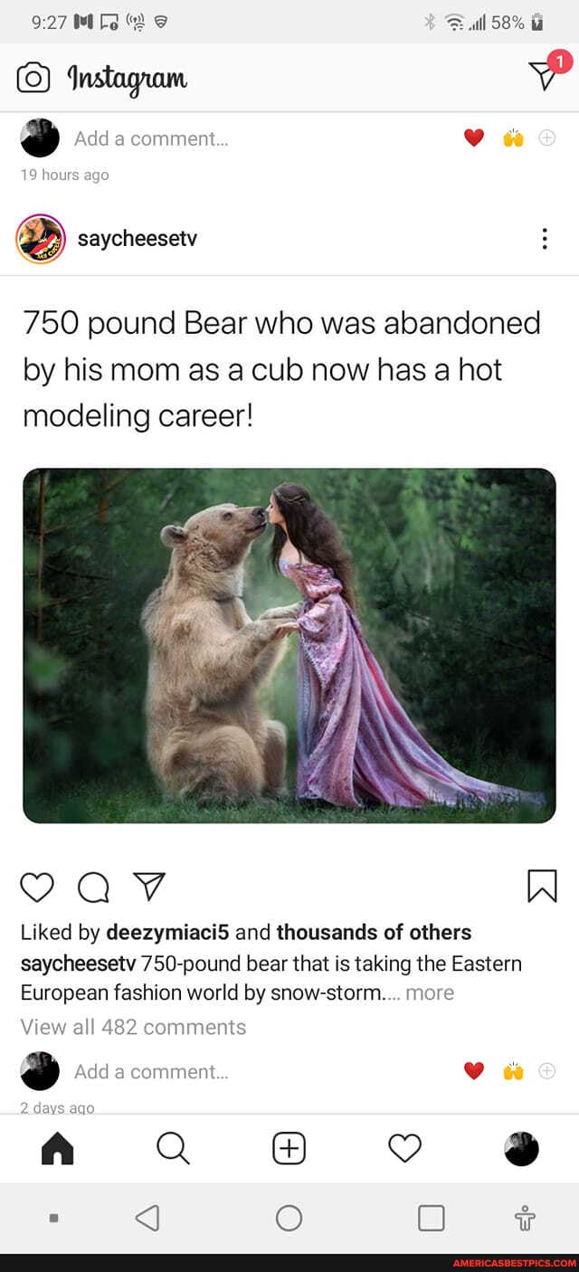 AS ull 58%
Instagram
Add a comment.
19 hours ago
saycheesetv
750 pound Bear who was abandoned by his mom as a cub now has a hot modeling career!
VAV W
Liked by deezymiaci5 and thousands of others saycheesetv 750-pound bear that is taking the Eastern
European fashion world by snow-storm.... more
View all 482 comments
Add a comment