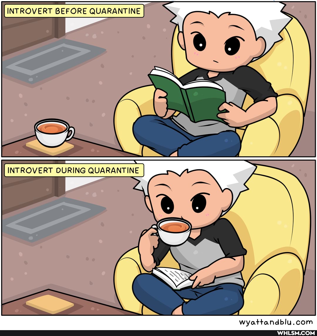 cartoon, cartoons, introverts, bookworm, wholesome_memes
