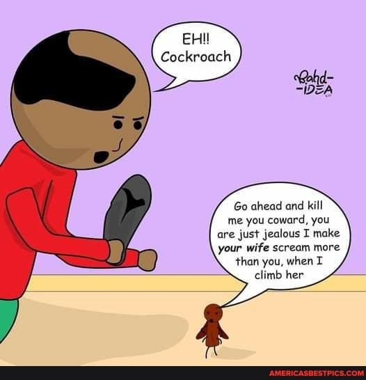 EHI!
Cockroach
Go ahead and kill me you coward, you are just jealous I make your wife scream more than you, when climb her