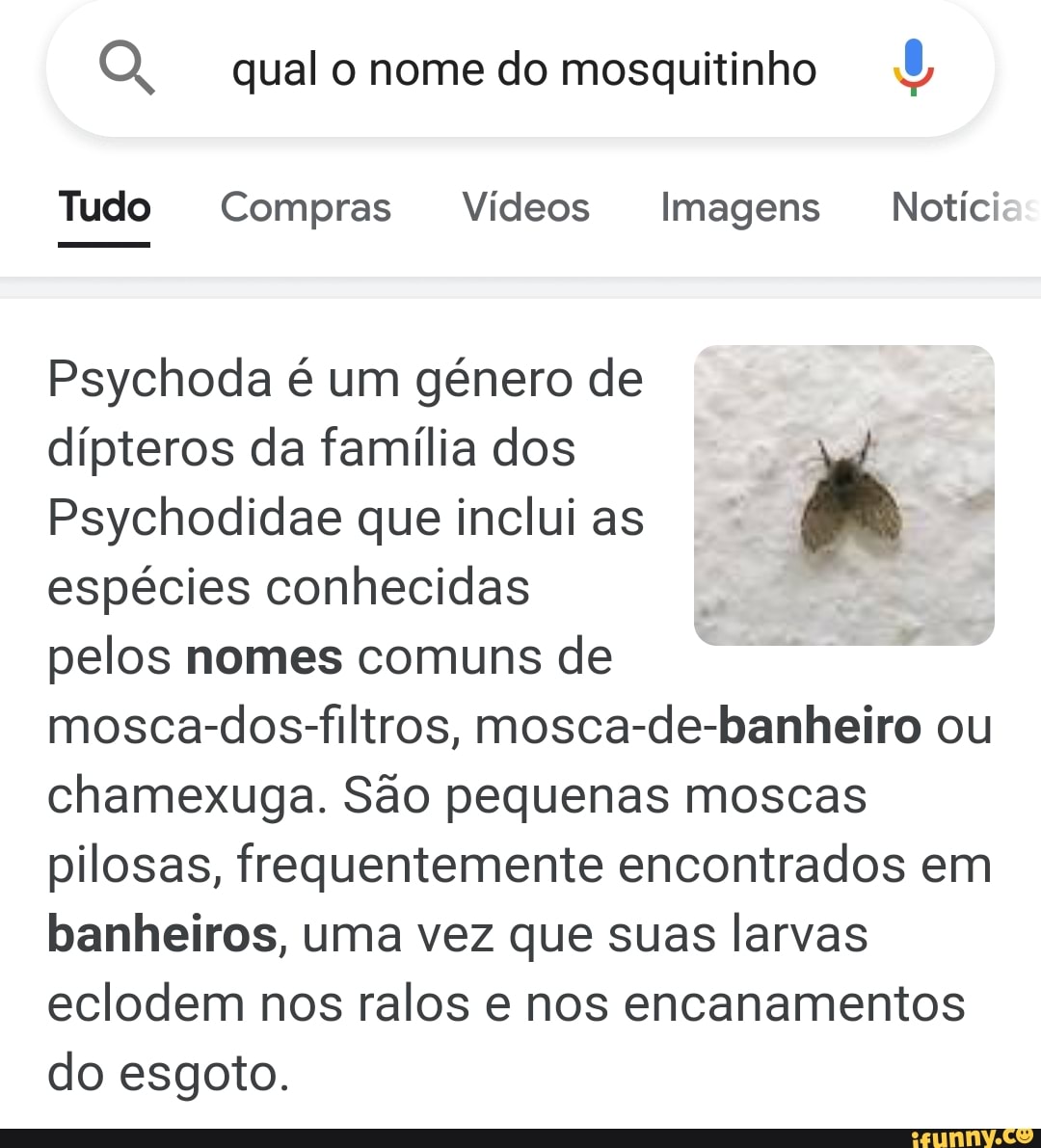 qual o nome do mosquitinho
Tudo Compras Vídeos Imagens Notícias
Psychoda é um género de dípteros da família dos
Psychodidae que inclui as espécies conhecidas pelos nomes comuns de mosca-dos-filtros, mosca-de-banheiro ou chamexuga. São pequenas moscas pilosas, frequentemente encontrados em banheiros, uma vez que suas larvas eclodem nos ralos e nos encanamentos do esgoto.