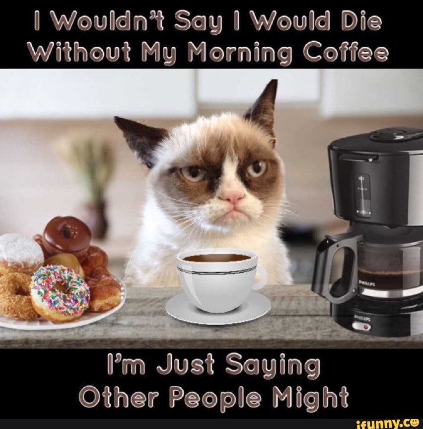 I Wouldn't Say Would Die Without My Morning Coffee I'm Just Saying ...