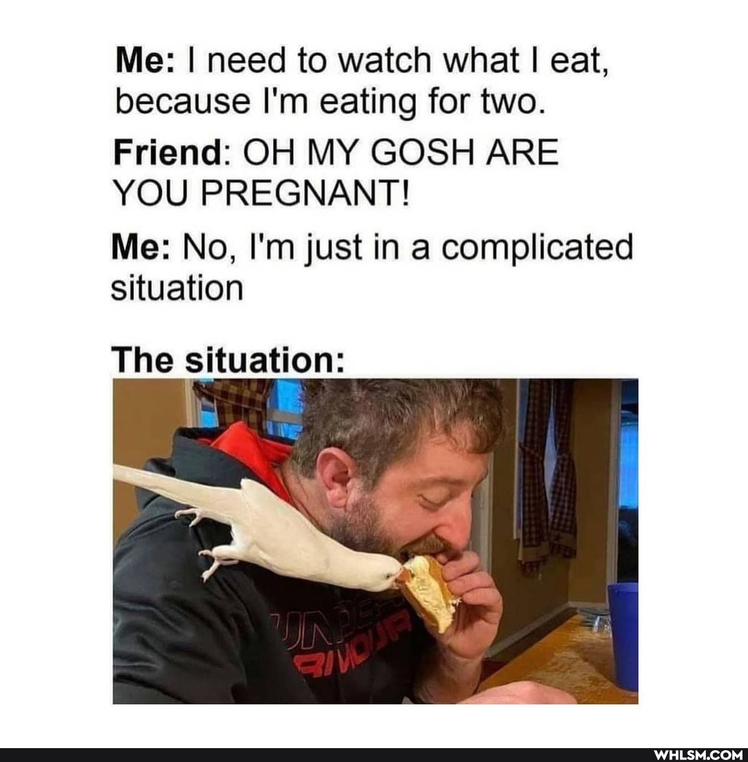 Me: I need to watch what I I eat, because I'm eating for two.
Friend: OH MY GOSH ARE YOU PREGNANT!
Me: No, I'm just in a complicated situation
The situation: