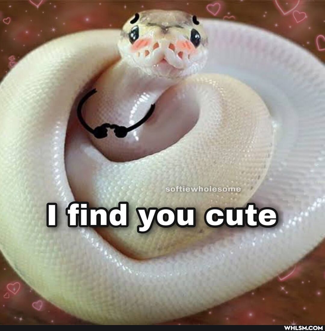 find you cute