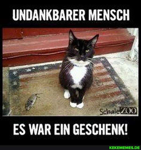 UNDANKBARER MENSCH
ES WAR EIN GESCHENK!
