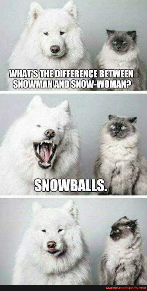 WHAT'S THE DIFFERENCE BETWEEN SHOWMAN AND SNOW-WOMAN?
SNOWBALLS.
fe a