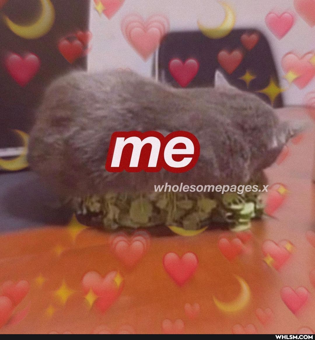 me
wholesomepages.