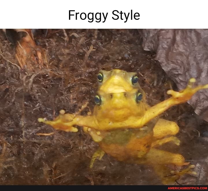 Froggy Style
