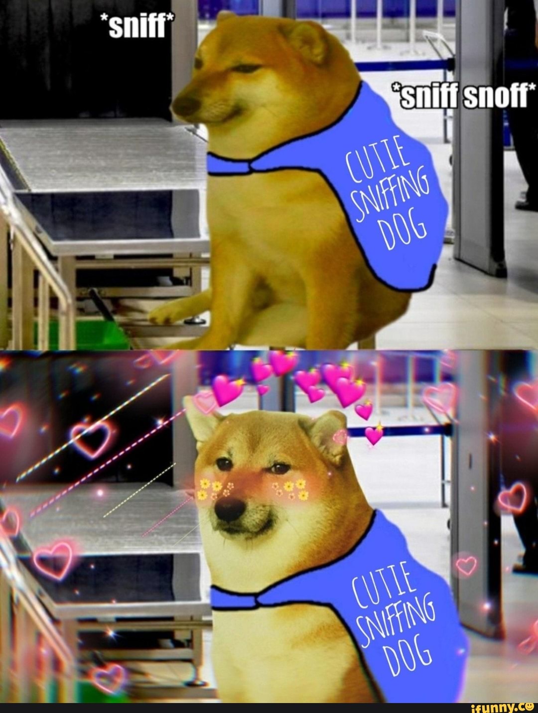 'sniff snoff