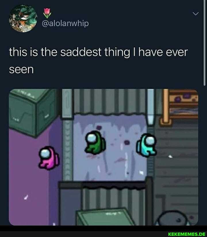 this is the saddest thing I have ever
seen