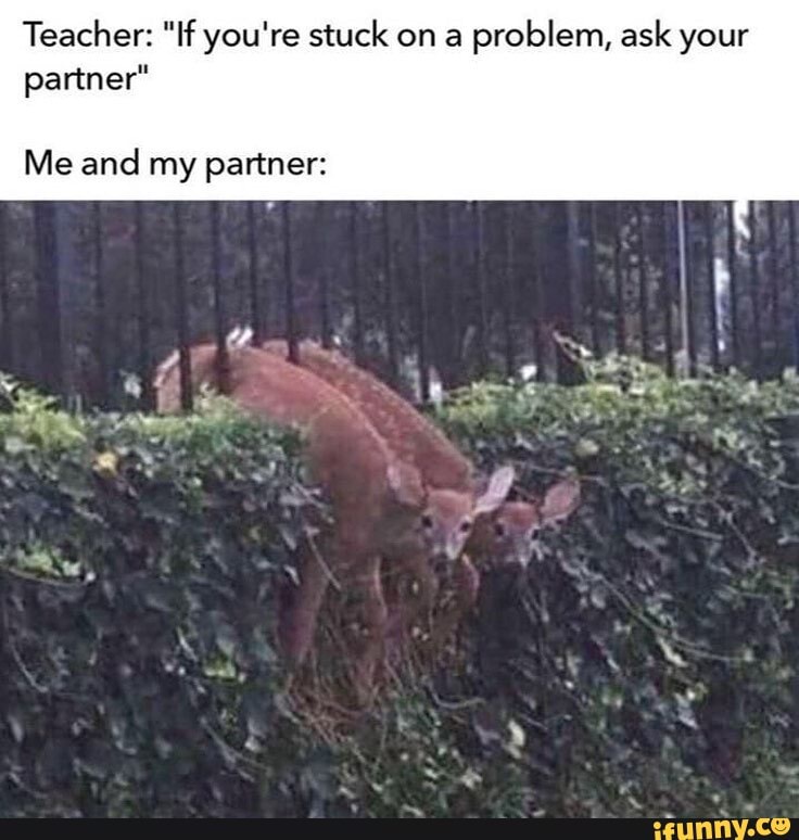 Teacher: "If you're stuck on a problem, ask your partner"
Me and my partner:
key