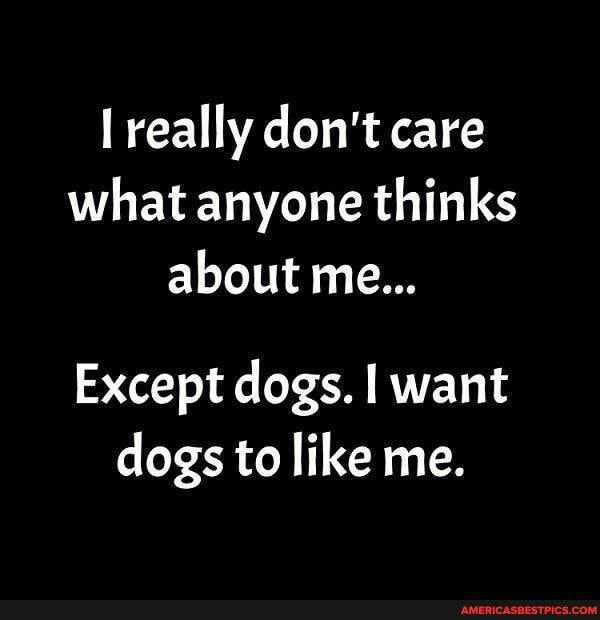 really don't care what anyone thinks about me...
Except dogs. want dogs to like me.