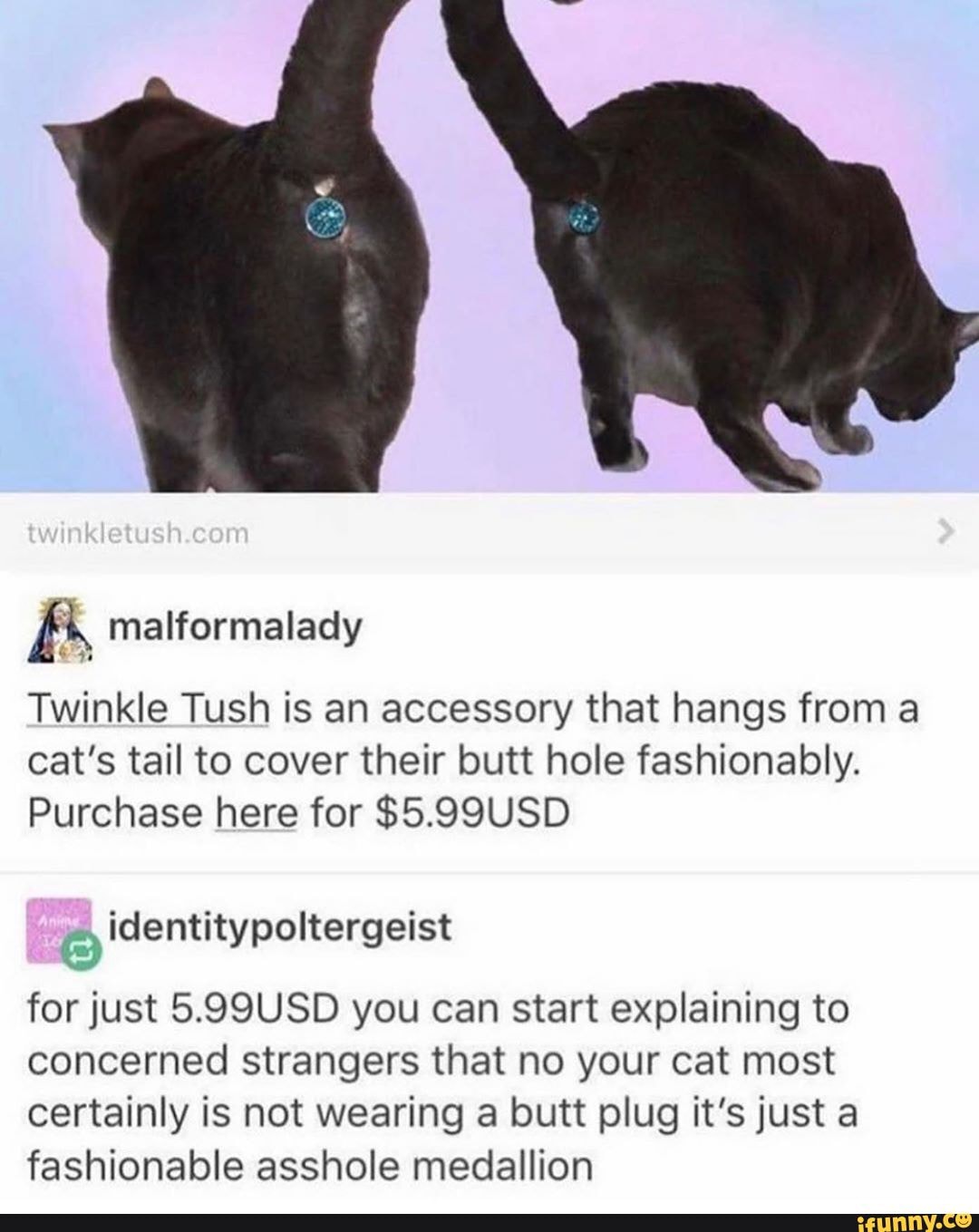 Twinkle Tush is an accessory that hangs froma cat's tail to cover their butt hole fashionably.
Purchase here for $5.99USD
for just 5.99USD you can start explaining to concerned strangers that no your cat most certainly is not wearing a butt plug it's just a fashionable asshole medallion