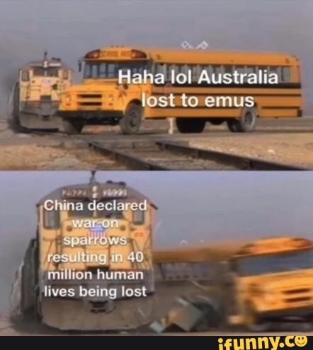 LA
iman
(vos being lost