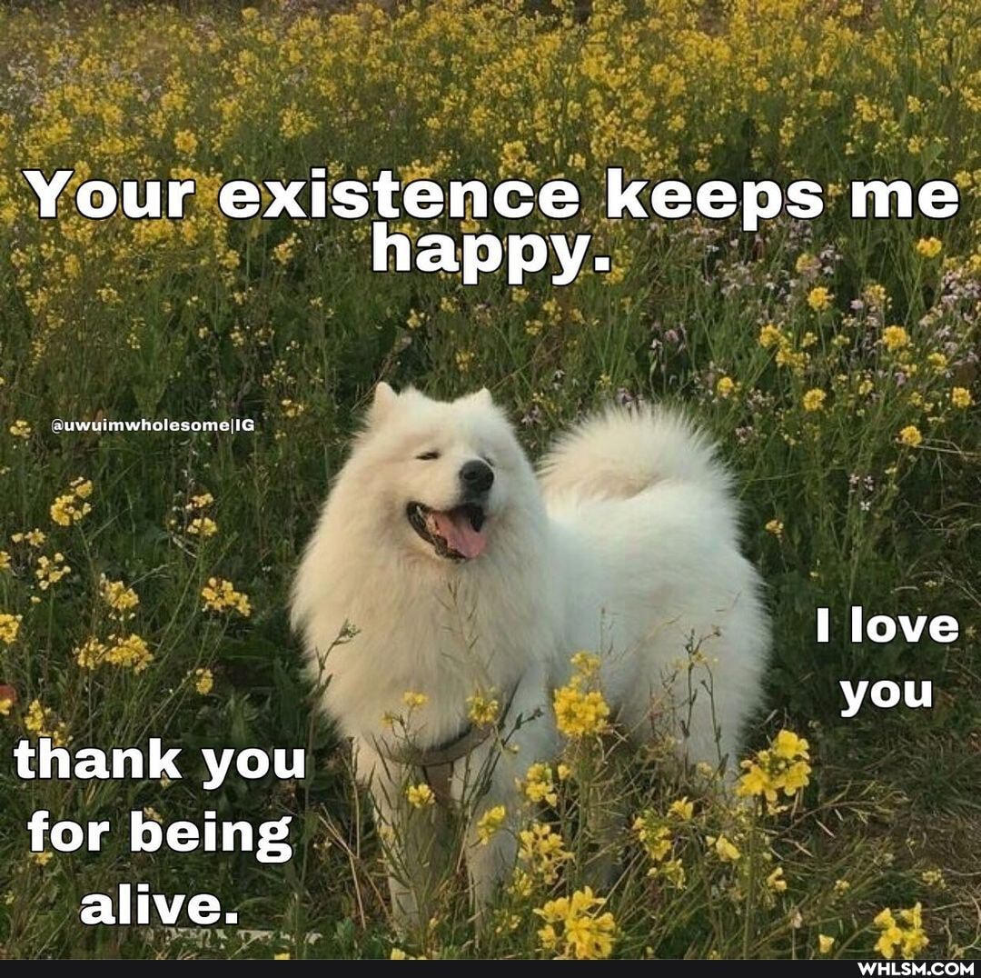 Your existence keeps me happy.
@uwuimwholesomeIIG
love you thank you for being alive.