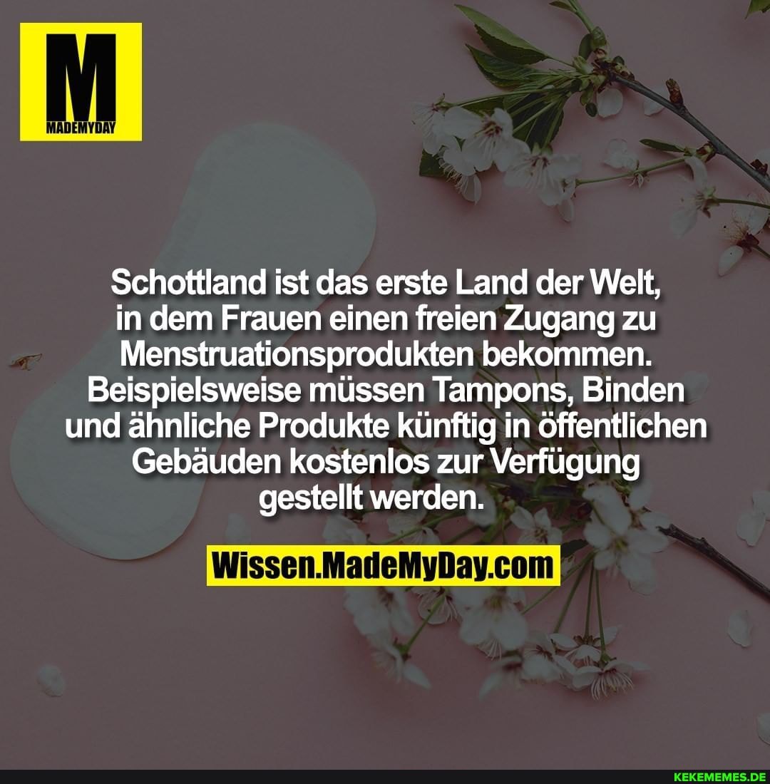 Schottland ist das erste Land der Welt, in dem Frauen einen freien Zugang zu
Menstruationsprodukten bekommen.
Beispielsweise müssen Tampons, Binden und ähnliche Produkte künftig in öffentlichen
Gebäuden kostenlos zur Verfügung gestellt werden.