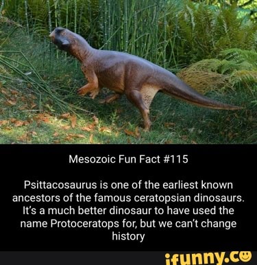 Mesozoic Fun Fact #115 Psittacosaurus is one of the earliest known ...