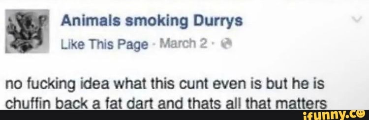 Animals smoking Durrys Like This Page March @ no fucking idea what this  cunt even is but he is chuffin back a fat dart and thais all that matters -  )