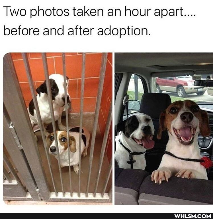 Two photos taken an hour apart...
before and after adoption.