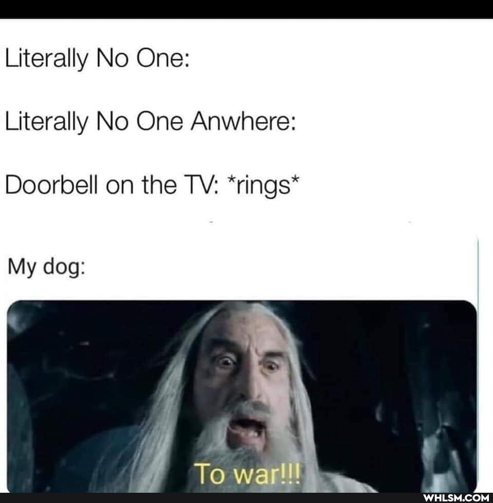 Literally No One:
Literally No One Anwhere:
Doorbell on the TV: *rings*
My dog:
TO